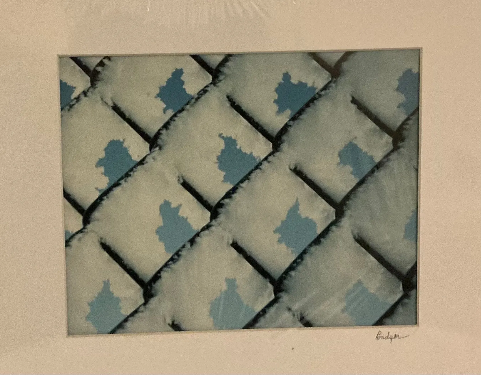 Prints - Dorothy J. Badger