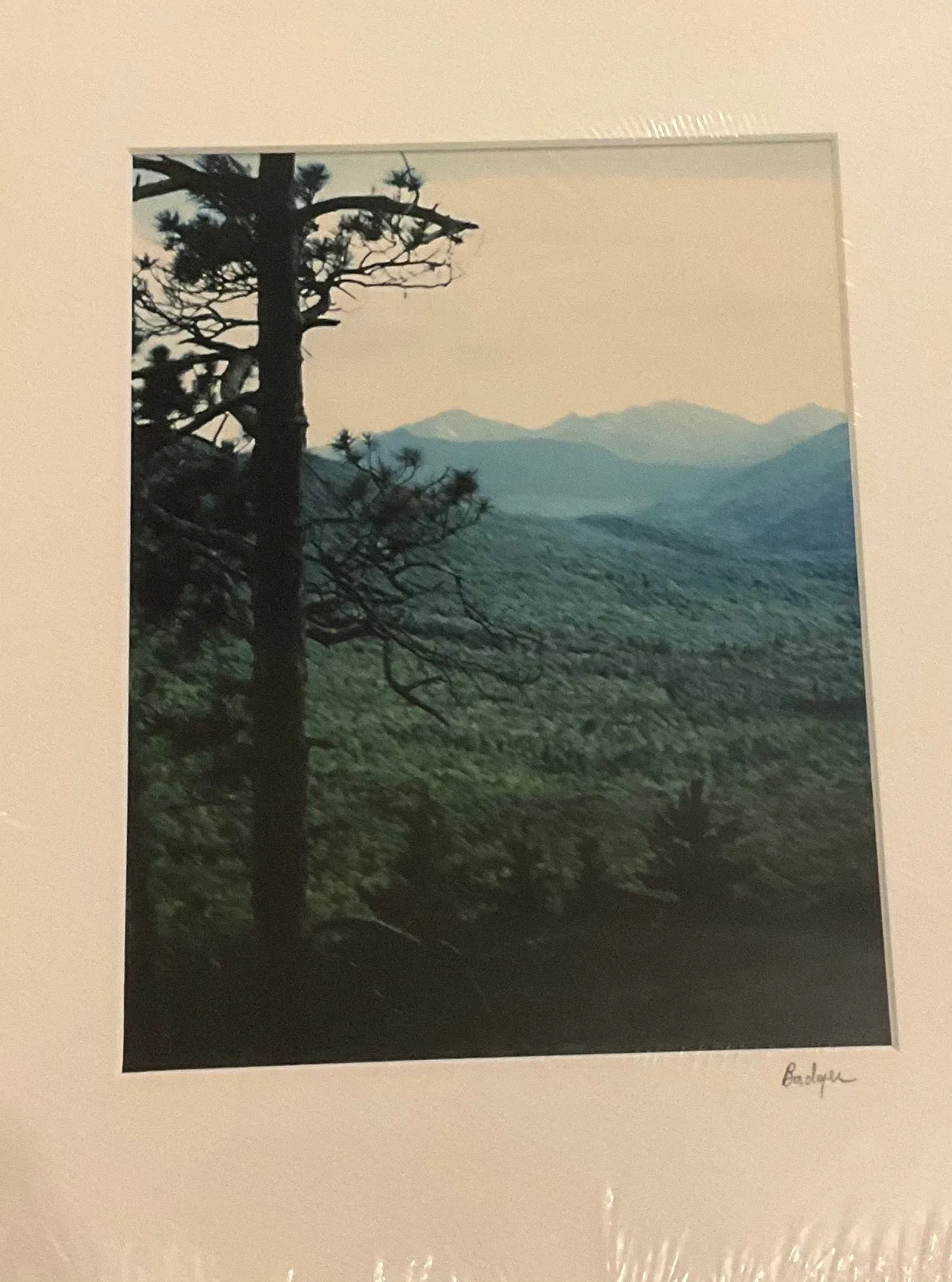Prints - Dorothy J. Badger