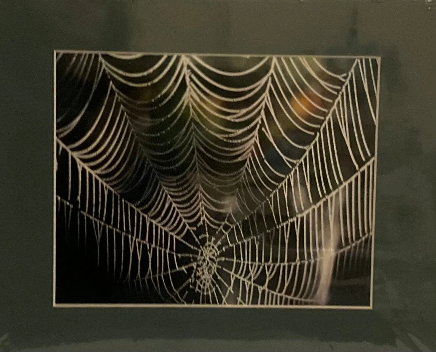Prints - Dorothy J. Badger